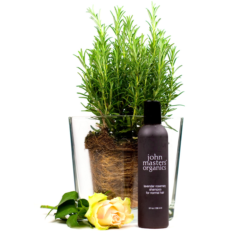 Lavender Rosemary Shampoo