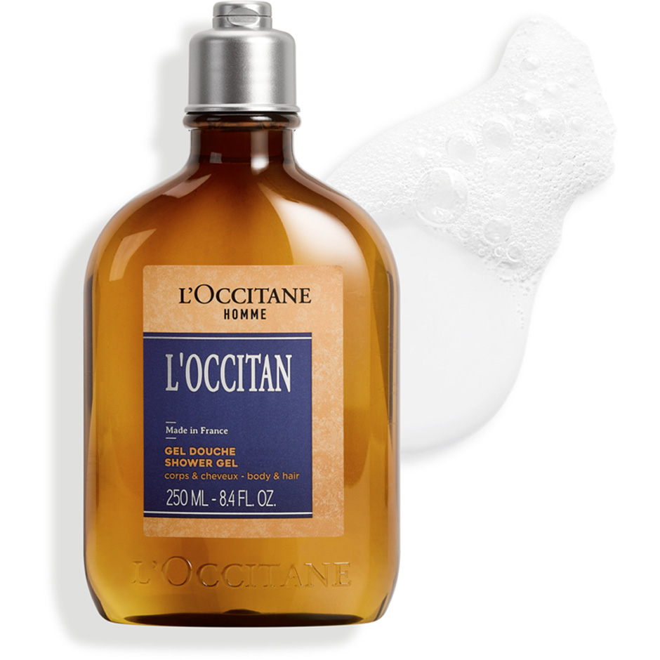 L'Occitan