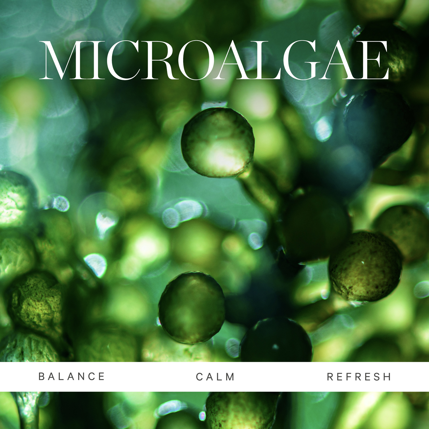 Active Algae Calming Cleansing Balm